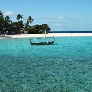 Meet your Posher, Timothy